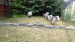 DSC02588.JPG