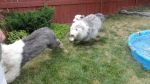 DSC02590.JPG