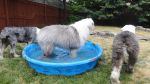 DSC02592.JPG