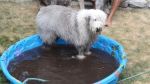 DSC02594.JPG