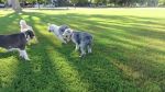 DSC02618.JPG