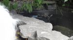 DSC02640.JPG