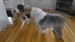 DSC02642.JPG