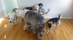 DSC02680.JPG