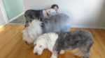 DSC02681.JPG