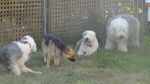 DSC02687.JPG