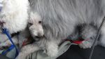 DSC02707.JPG