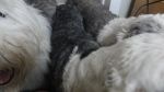DSC02713.JPG