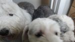 DSC02714.JPG