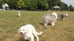DSC02750.JPG