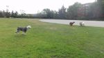DSC02754.JPG