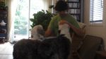 DSC02766.JPG