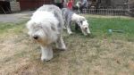 DSC02777.JPG