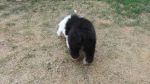 DSC02786.JPG