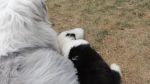 DSC02801.JPG