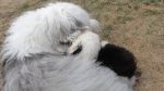 DSC02802.JPG