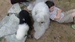 DSC02834.JPG