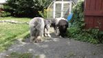 DSC02953.JPG