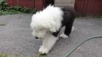 DSC02965.JPG