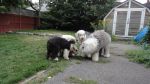 DSC02986.JPG