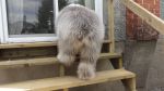 DSC03002.JPG
