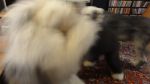 DSC03026.JPG