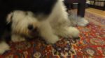 DSC03031.JPG