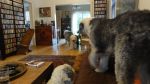 DSC03036.JPG