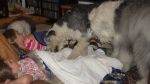 DSC03158.JPG