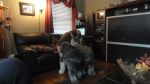 DSC03416.JPG