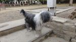 DSC03509.JPG