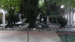 DSC03528.JPG