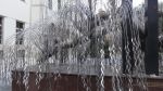 DSC03532.JPG