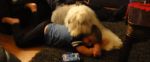 DSC04510.JPG