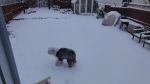 DSC04610.JPG