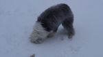 DSC04613.JPG