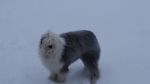 DSC04614.JPG