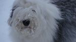 DSC04615.JPG