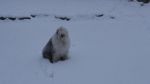 DSC04623.JPG