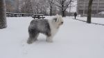 DSC04627.JPG