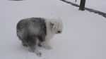 DSC04628.JPG