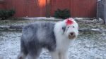 DSC04784.JPG