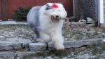 DSC04787.JPG