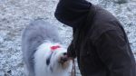 DSC04798.JPG