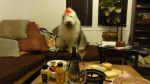 DSC04804.JPG