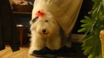 DSC04816.JPG