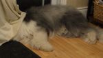 DSC04818.JPG