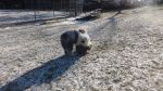 DSC04819.JPG