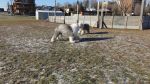 DSC04831.JPG