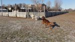 DSC04833.JPG